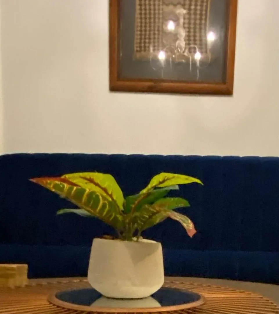 Apartment Vintage Alcove In Green Point, Cape Town Sleeps 4